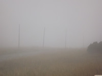 DSCF1154