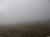 DSCF1156