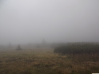 DSCF1157