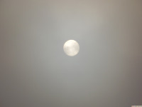 DSCF1161