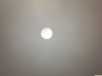 DSCF1163