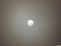 DSCF1171