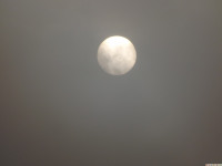 DSCF1173