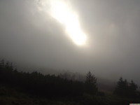 DSCF1177