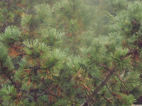 DSCF1178