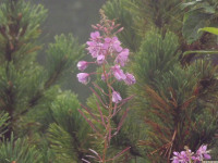 DSCF1180