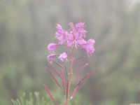 DSCF1183