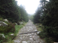 DSCF1193