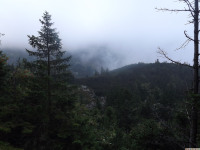 DSCF1194