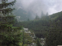 DSCF1195