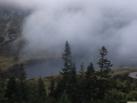 DSCF1202