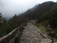 DSCF1204
