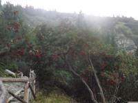 DSCF1208