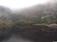 DSCF1229
