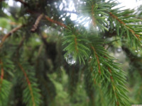 DSCF1238