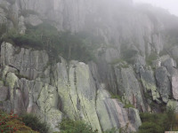 DSCF1241
