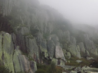 DSCF1242