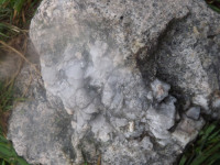 DSCF1244