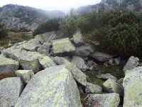 DSCF1246