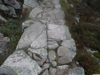 DSCF1247