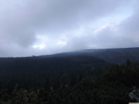 DSCF1249