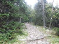 DSCF1252