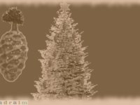 kartka_sbz020