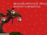 kartka_sbz025