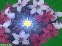 kartka_sbz041