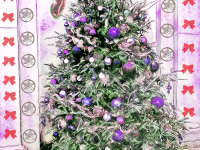 kartka_sbz082