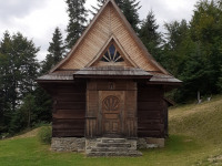 budowle_008