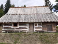budowle_009