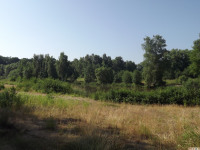 drzewokrzew_1018