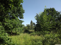 drzewokrzew_1032