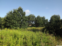 drzewokrzew_1049