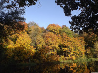 drzewokrzew_1129
