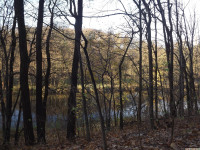 drzewokrzew_1269