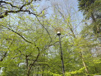 drzewokrzew_1422