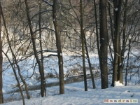 drzewokrzew_222