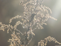 ros_inne_056