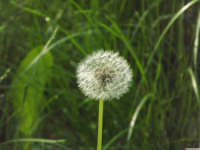 ros_inne_060