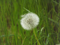 ros_inne_074
