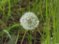 ros_inne_075