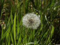 ros_inne_076