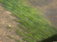 ros_inne_079