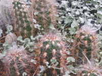 ros_inne_002