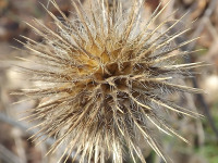 ros_inne_020