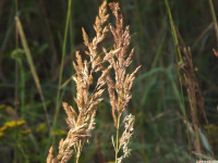 ros_inne_044