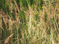 ros_inne_045