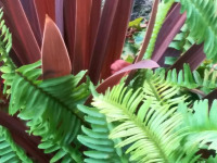 ros_inne_049